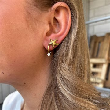 WOLFF JEWELRY SEA STAR ØRERINGE - 1132